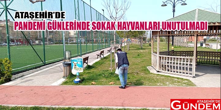 MAMA DAĞITIMI DEVAM EDİYOR MAMA DAĞITIMI DEVAM EDİYOR